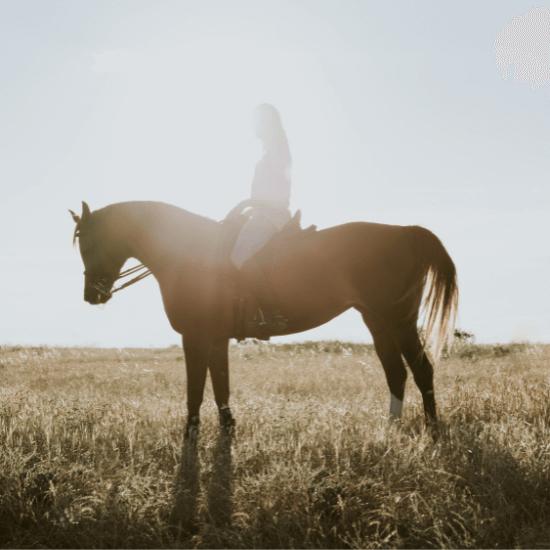 Losing a horse can be hard. Help keep the memory of your horse alive with a horse memorial or horse keepsake from our horse remembrance and bereavement collection.