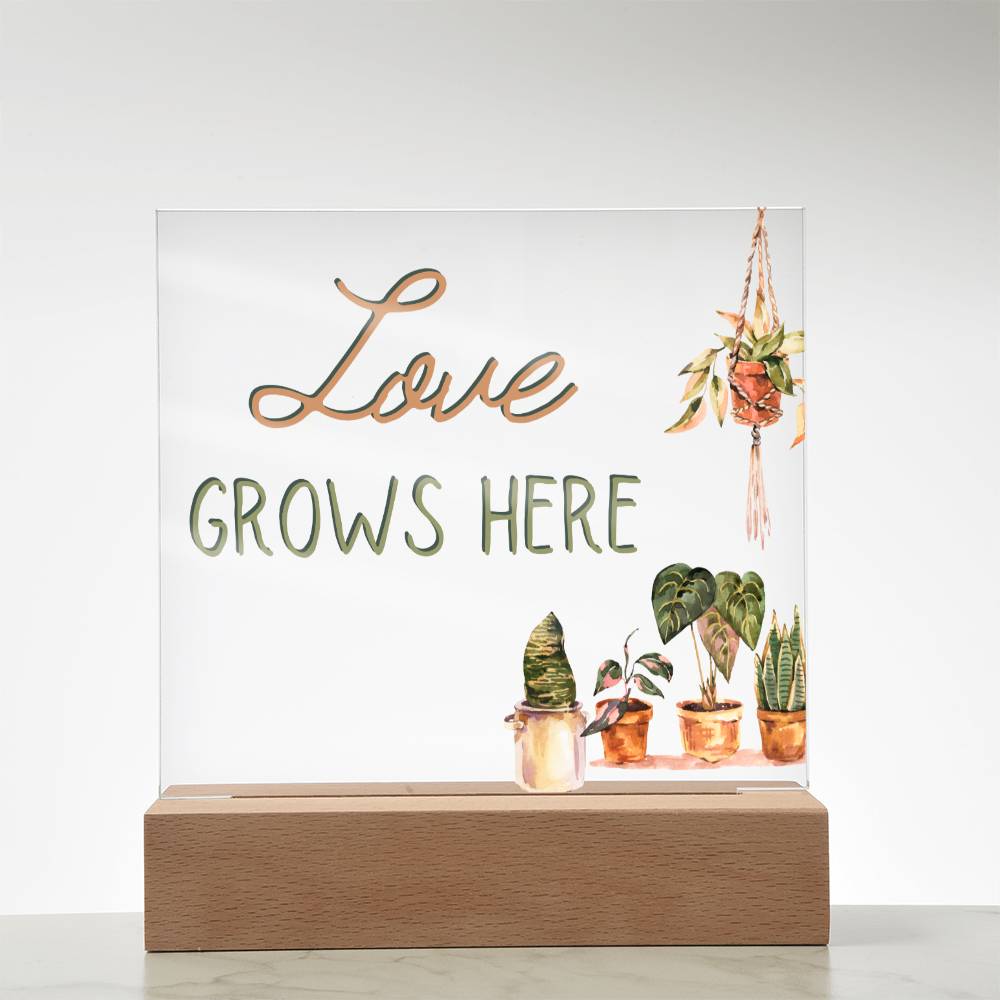 Love Grows Here - Funny Plant Acrylic with LED Nigh Light - Indoor Home Garden Decor - Birthday or Christmas Gift For Horticulturists, Gardner, or Plant Lover - Liliana and Liam