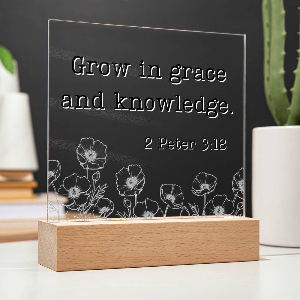 LED Bible Verse - Grace & Knowledge - 2 Peter 3:18 - Motivational Acrylic with LED Nigh Light - Inspirational New Home Decor - Encouragement, Birthday or Christmas Gift - Liliana and Liam
