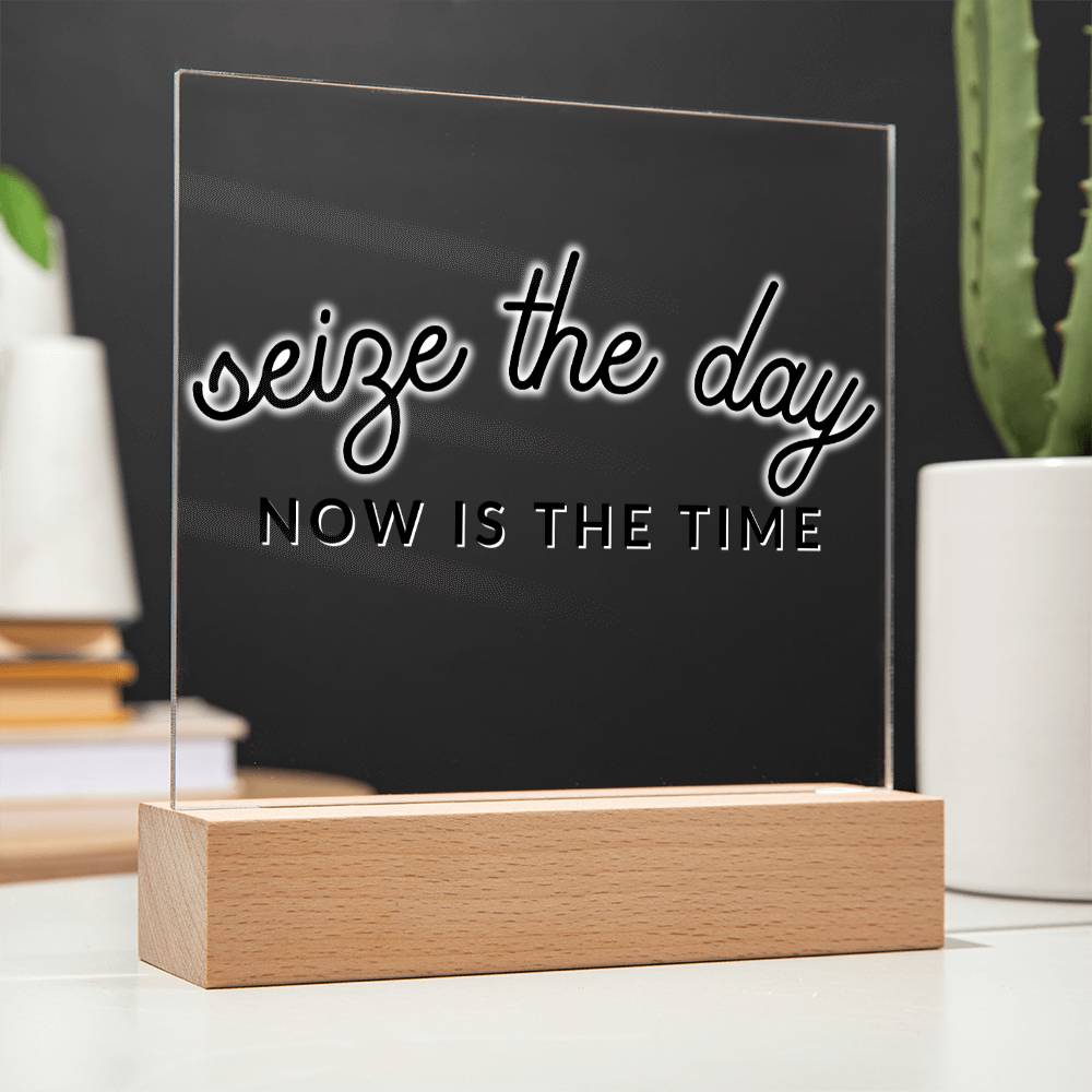 Seize The Day - Motivational Acrylic with LED Nigh Light - Inspirational New Home Decor - Encouragement, Birthday or Christmas Gift - Liliana and Liam