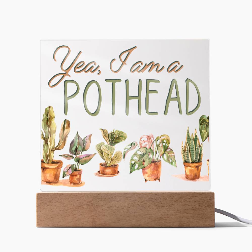 I Am A Pot Head - Funny Plant Acrylic with LED Nigh Light - Indoor Home Garden Decor - Birthday or Christmas Gift For Horticulturists, Gardner, or Plant Lover - Liliana and Liam