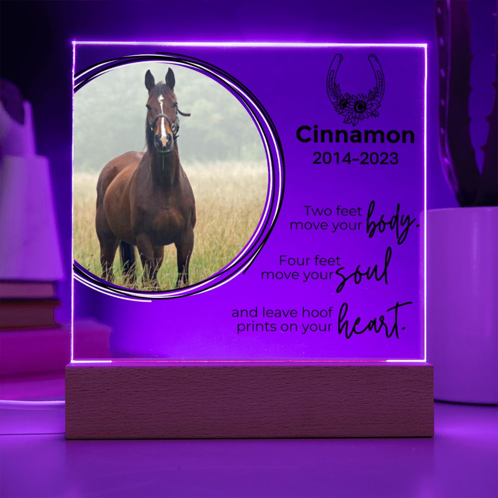 Horse Keepsake - Move Your Soul - Square Acrylic Horse Memorial Plaque - Custom Horse or Equestrian Remembrance, Bereavement & Sympathy Gifts