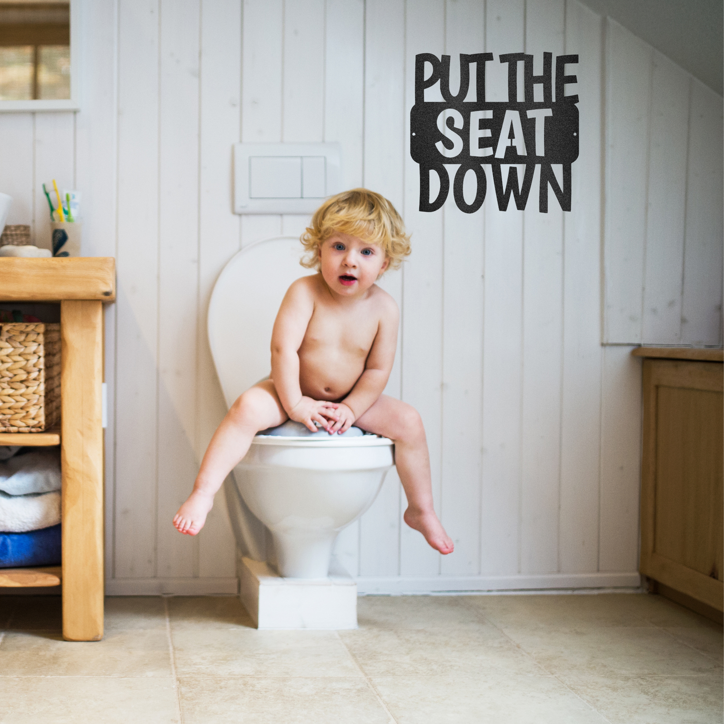 Put the Seat Down Quote, Bathroom Sign, Modern Bathroom, Farmhouse Decor, Custom Metal Sign, Indoor Outdoor Steel Wall Sign