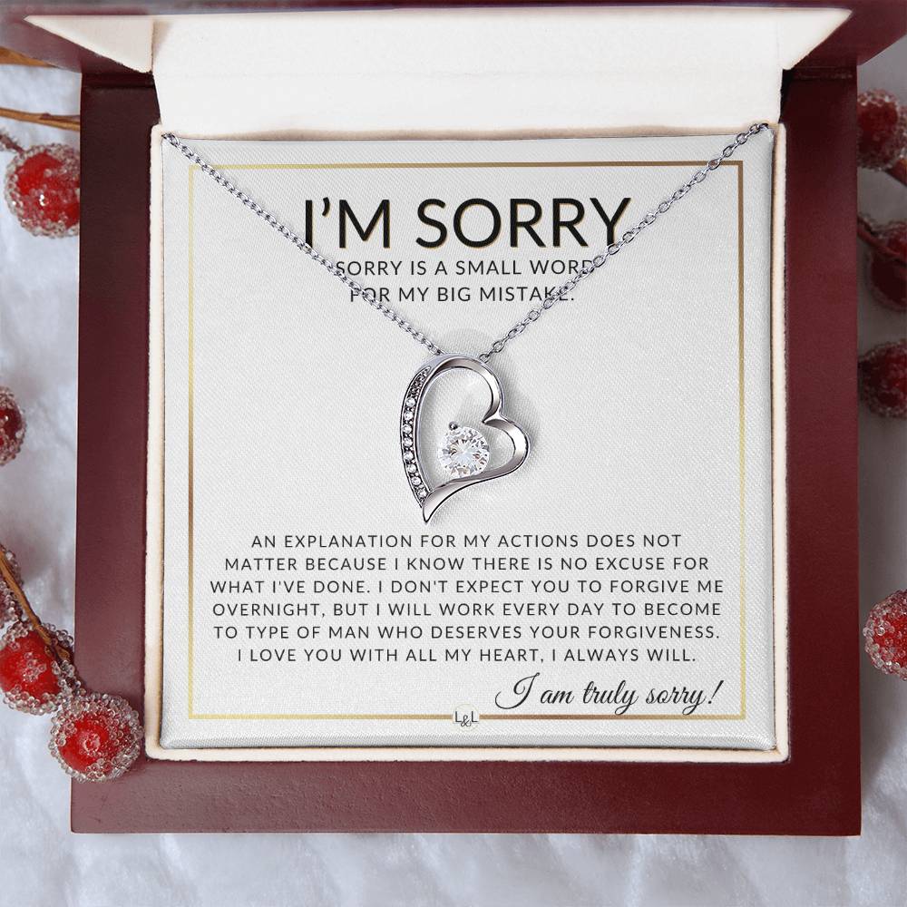 I Am Sorry Gift For Her - No Excuses - Apology Gift For Wife, Fiancée, or Girlfriend - Beautiful Women's Open Heart Pendant Necklace + Heartfelt Message - Liliana and Liam