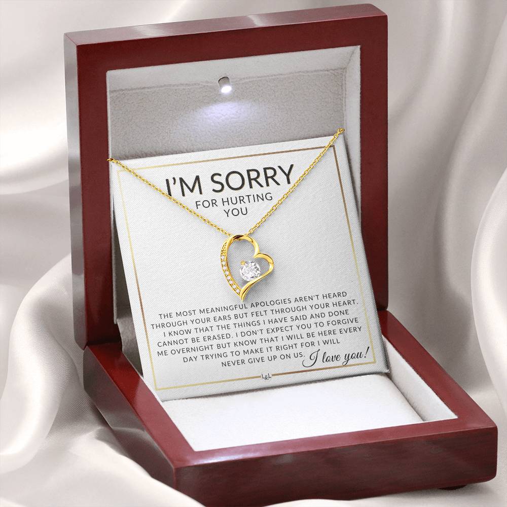 I Am Sorry Gift For Her - Never Giving Up - Apology Gift For Wife, Fiancée, or Girlfriend - Beautiful Women's Open Heart Pendant Necklace + Heartfelt Message - Liliana and Liam