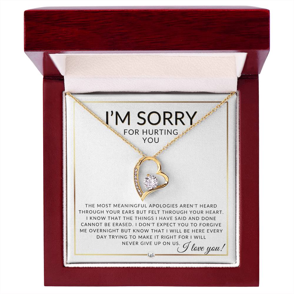 I Am Sorry Gift For Her - Never Giving Up - Apology Gift For Wife, Fiancée, or Girlfriend - Beautiful Women's Open Heart Pendant Necklace + Heartfelt Message - Liliana and Liam