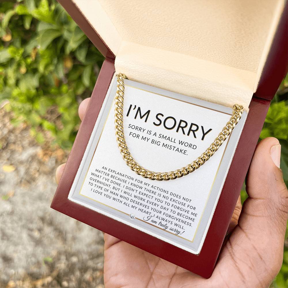 I Am Sorry Gift For Him - No Excuses - Apology Gift For Husband, Fiancé or Boyfriend - Men's Chain Necklace + Heartfelt Message - Liliana and Liam