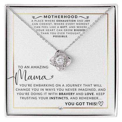 Amazing Mama - Beautiful Pendant Necklace To Celebrate Mom - Great Birthday, Mother's Day or Christmas Gift Idea For Her - Liliana and Liam