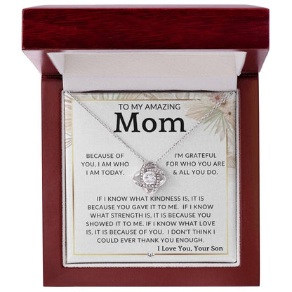 Gift for Mom, From Son - All You Do - To Mother, From Son - Beautiful Women's Pendant + Sentimental Message - Great For Mother's Day, Christmas or Your Mom's Birthday - Liliana and Liam
