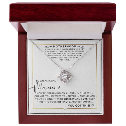Amazing Mama - Beautiful Pendant Necklace To Celebrate Mom - Great Birthday, Mother's Day or Christmas Gift Idea For Her - Liliana and Liam