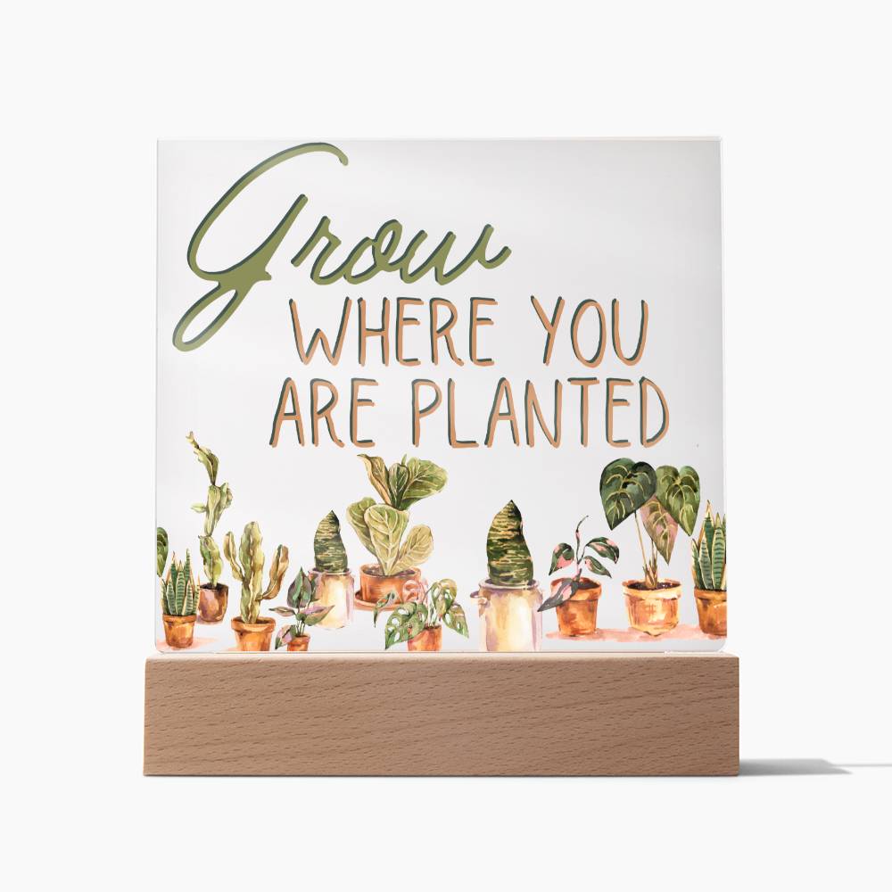 Grow Where You Are Planted - Funny Plant Acrylic with LED Nigh Light - Indoor Home Garden Decor - Birthday or Christmas Gift For Horticulturists, Gardner, or Plant Lover