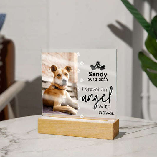 Dog Photo Keepsake - An Angel With Paws - Square Acrylic Dog Memorial Plaque - Custom Dog Remembrance, Bereavement & Sympathy Gift