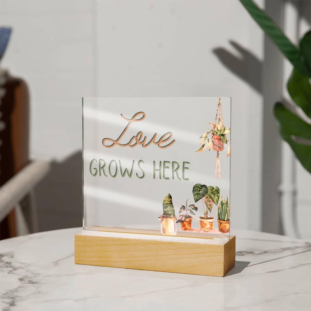 Love Grows Here - Funny Plant Acrylic with LED Nigh Light - Indoor Home Garden Decor - Birthday or Christmas Gift For Horticulturists, Gardner, or Plant Lover