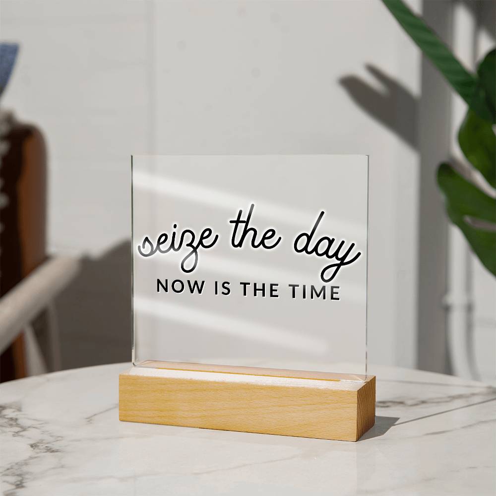 Seize The Day - Motivational Acrylic with LED Nigh Light - Inspirational New Home Decor - Encouragement, Birthday or Christmas Gift