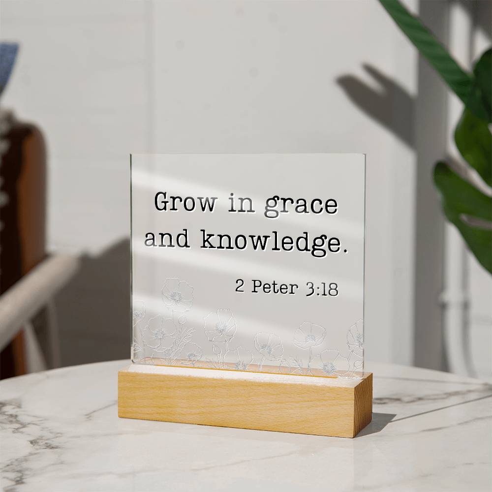 LED Bible Verse - Grace & Knowledge - 2 Peter 3:18 - Motivational Acrylic with LED Nigh Light - Inspirational New Home Decor - Encouragement, Birthday or Christmas Gift