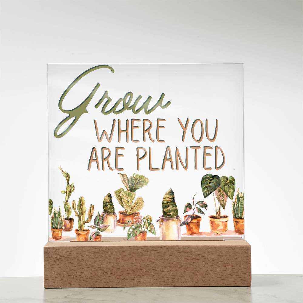 Grow Where You Are Planted - Funny Plant Acrylic with LED Nigh Light - Indoor Home Garden Decor - Birthday or Christmas Gift For Horticulturists, Gardner, or Plant Lover