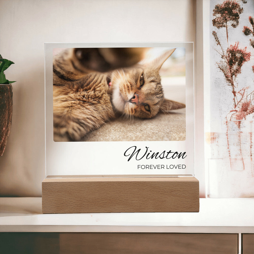 Cat Photo Keepsake - Single Landscape Photo - Square Acrylic Cat Memorial Plaque - Custom Cat Remembrance, Bereavement & Sympathy Gift