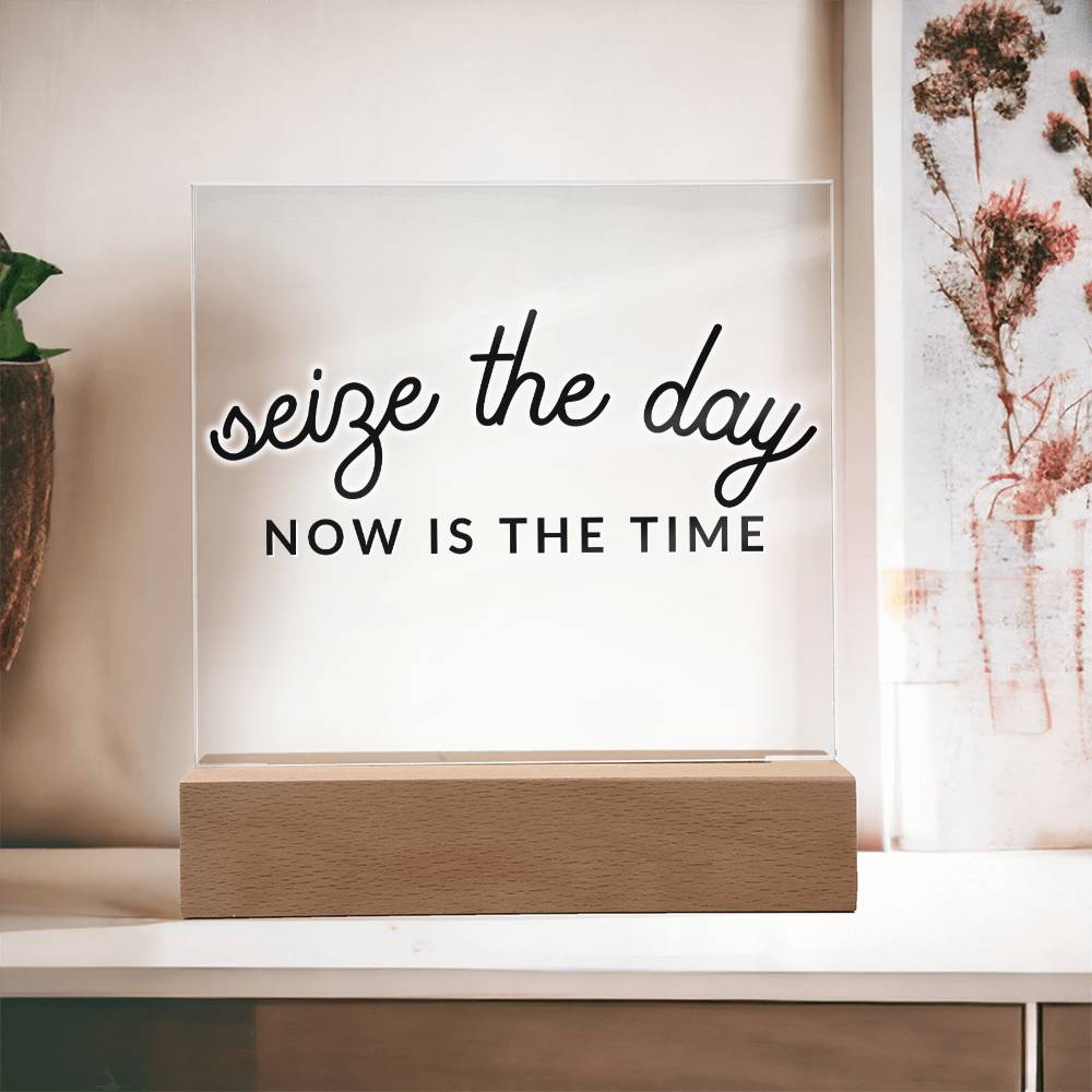 Seize The Day - Motivational Acrylic with LED Nigh Light - Inspirational New Home Decor - Encouragement, Birthday or Christmas Gift