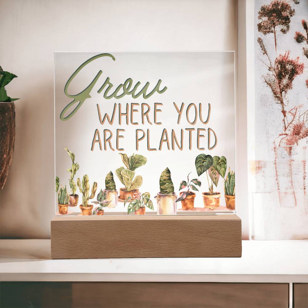 Grow Where You Are Planted - Funny Plant Acrylic with LED Nigh Light - Indoor Home Garden Decor - Birthday or Christmas Gift For Horticulturists, Gardner, or Plant Lover