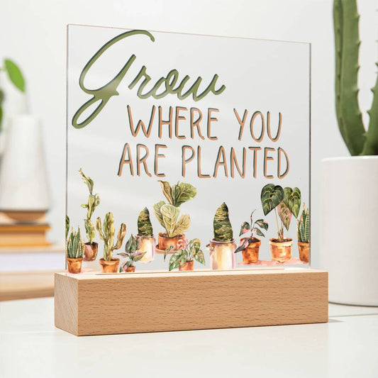 Grow Where You Are Planted - Funny Plant Acrylic with LED Nigh Light - Indoor Home Garden Decor - Birthday or Christmas Gift For Horticulturists, Gardner, or Plant Lover