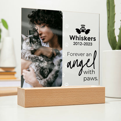 Cat Photo Keepsake - An Angel With Paws - Square Acrylic Cat Memorial Plaque - Custom Cat Remembrance, Bereavement & Sympathy Gift