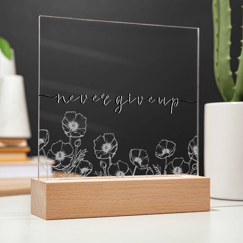 Never Give Up - Motivational Acrylic with LED Nigh Light - Inspirational New Home Decor - Encouragement, Birthday or Christmas Gift