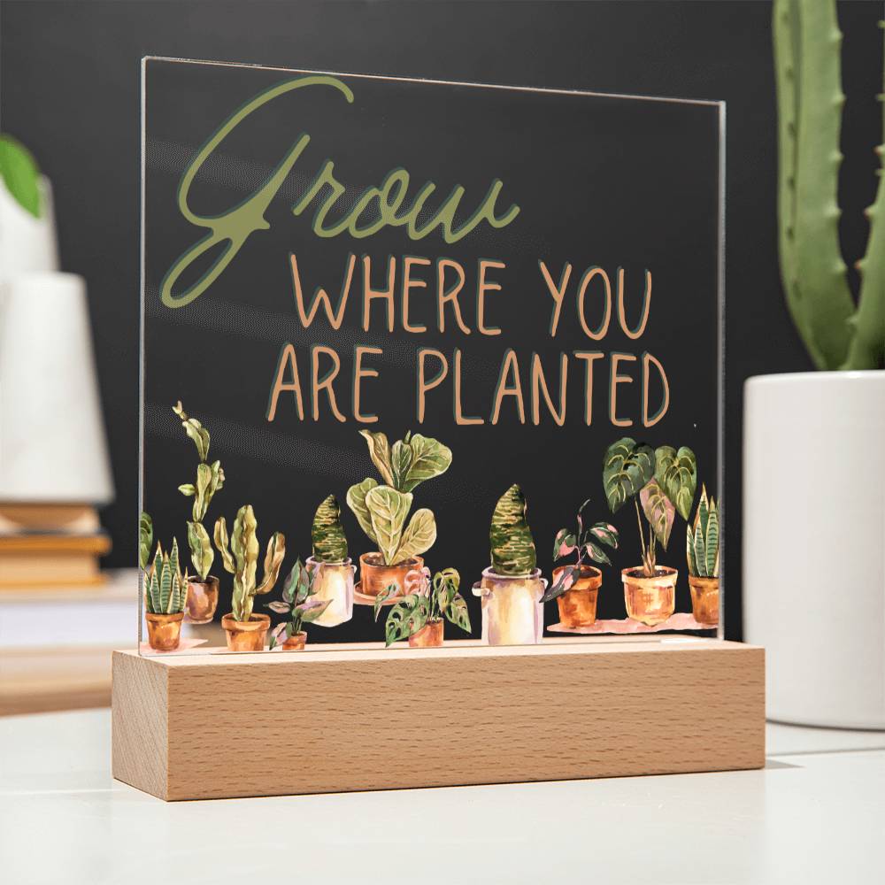 Grow Where You Are Planted - Funny Plant Acrylic with LED Nigh Light - Indoor Home Garden Decor - Birthday or Christmas Gift For Horticulturists, Gardner, or Plant Lover