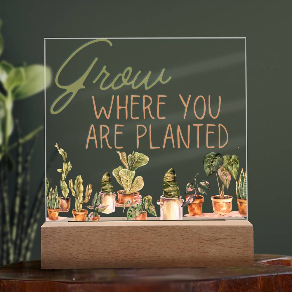 Grow Where You Are Planted - Funny Plant Acrylic with LED Nigh Light - Indoor Home Garden Decor - Birthday or Christmas Gift For Horticulturists, Gardner, or Plant Lover