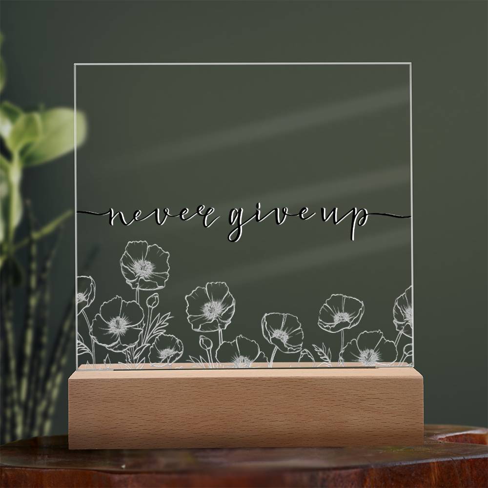 Never Give Up - Motivational Acrylic with LED Nigh Light - Inspirational New Home Decor - Encouragement, Birthday or Christmas Gift