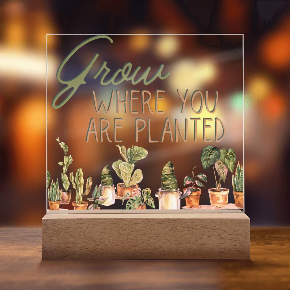 Grow Where You Are Planted - Funny Plant Acrylic with LED Nigh Light - Indoor Home Garden Decor - Birthday or Christmas Gift For Horticulturists, Gardner, or Plant Lover