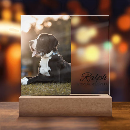 Dog Photo Keepsake - Single Portrait Photo Square Acrylic - Dog Memorial Plaque - Custom Dog Remembrance, Bereavement & Sympathy Gift