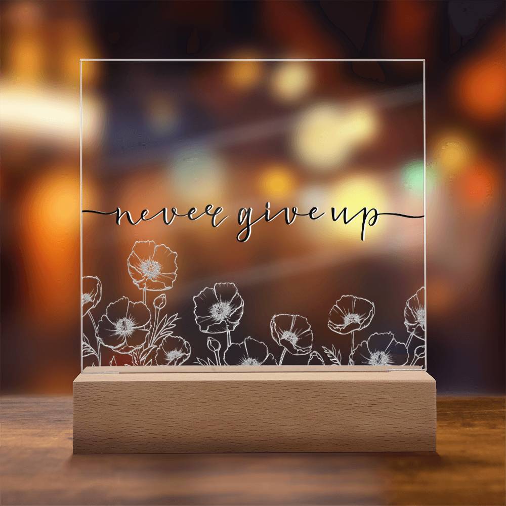 Never Give Up - Motivational Acrylic with LED Nigh Light - Inspirational New Home Decor - Encouragement, Birthday or Christmas Gift