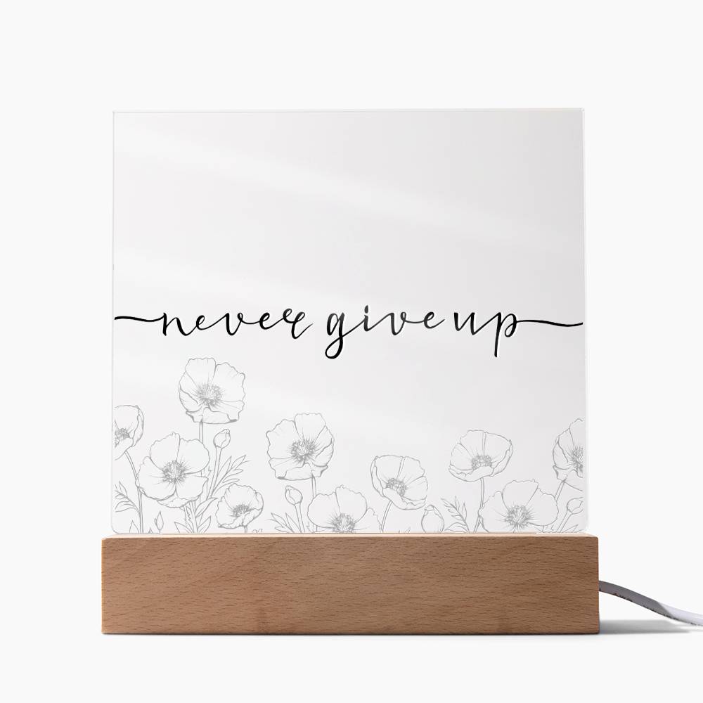 Never Give Up - Motivational Acrylic with LED Nigh Light - Inspirational New Home Decor - Encouragement, Birthday or Christmas Gift