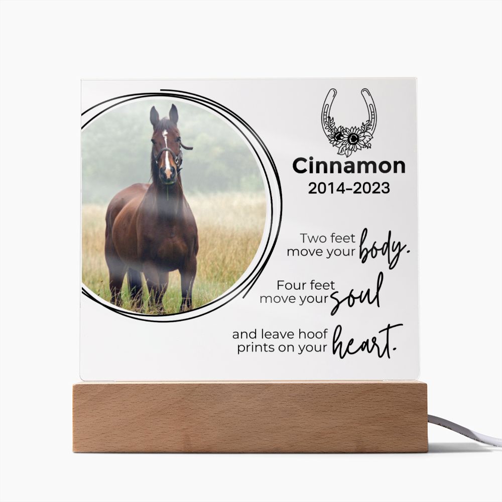 Horse Keepsake - Move Your Soul - Square Acrylic Horse Memorial Plaque - Custom Horse or Equestrian Remembrance, Bereavement & Sympathy Gifts