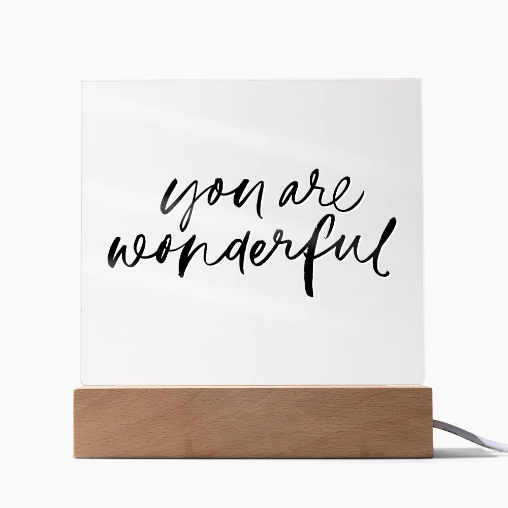 You Are Wonderful - Motivational Acrylic with LED Nigh Light - Inspirational New Home Decor - Encouragement, Birthday or Christmas Gift