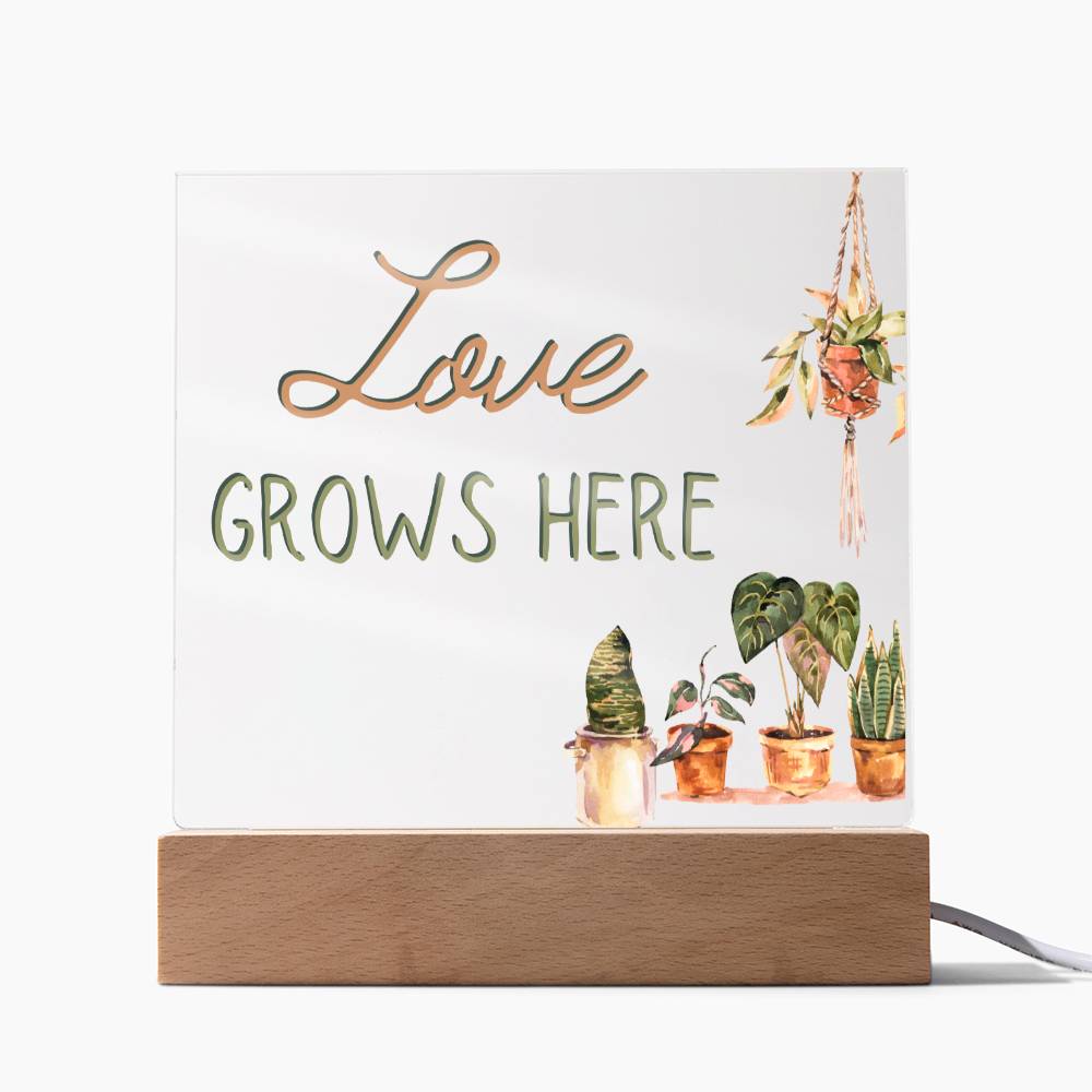 Love Grows Here - Funny Plant Acrylic with LED Nigh Light - Indoor Home Garden Decor - Birthday or Christmas Gift For Horticulturists, Gardner, or Plant Lover