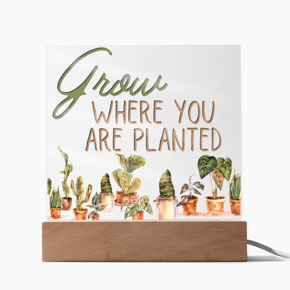 Grow Where You Are Planted - Funny Plant Acrylic with LED Nigh Light - Indoor Home Garden Decor - Birthday or Christmas Gift For Horticulturists, Gardner, or Plant Lover