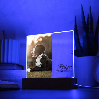 Dog Photo Keepsake - Single Portrait Photo Square Acrylic - Dog Memorial Plaque - Custom Dog Remembrance, Bereavement & Sympathy Gift