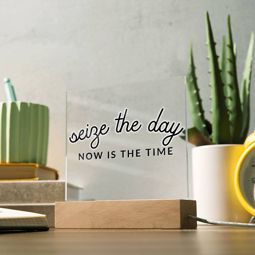 Seize The Day - Motivational Acrylic with LED Nigh Light - Inspirational New Home Decor - Encouragement, Birthday or Christmas Gift