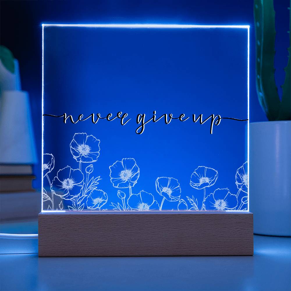 Never Give Up - Motivational Acrylic with LED Nigh Light - Inspirational New Home Decor - Encouragement, Birthday or Christmas Gift