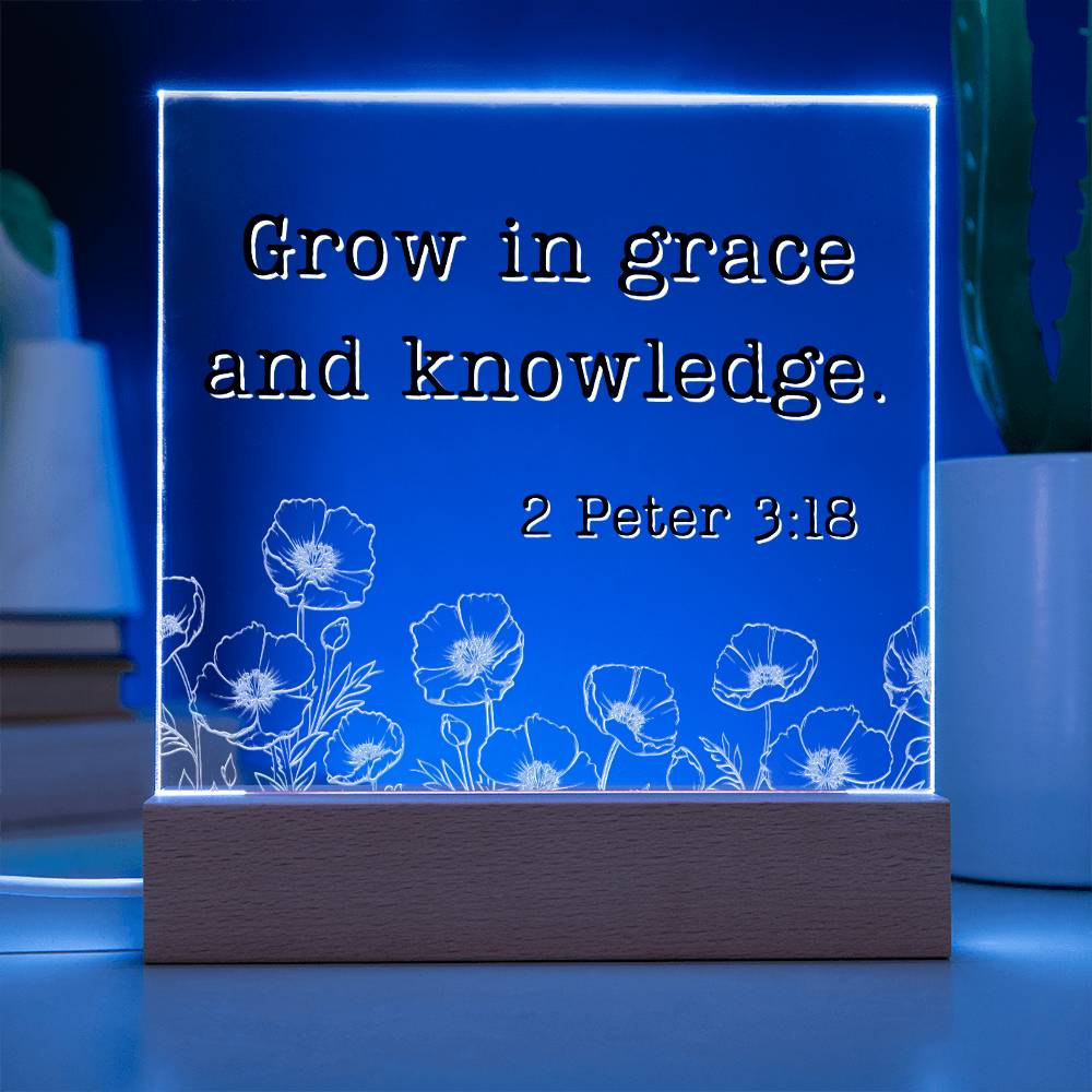 LED Bible Verse - Grace & Knowledge - 2 Peter 3:18 - Motivational Acrylic with LED Nigh Light - Inspirational New Home Decor - Encouragement, Birthday or Christmas Gift