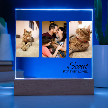 Cat Photo Keepsake - Three Portrait Photos - Square Acrylic Cat Memorial Plaque - Custom Cat Remembrance, Bereavement & Sympathy Gift