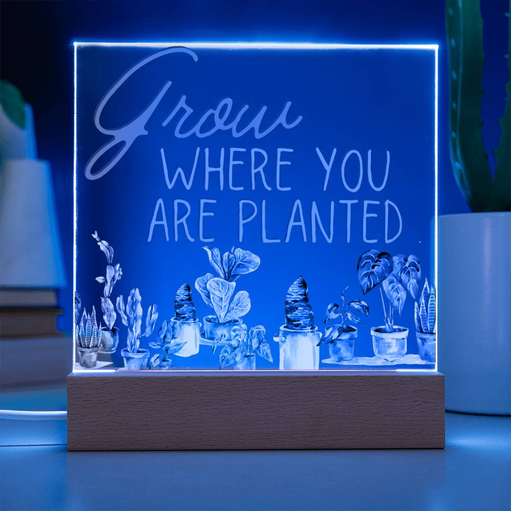 Grow Where You Are Planted - Funny Plant Acrylic with LED Nigh Light - Indoor Home Garden Decor - Birthday or Christmas Gift For Horticulturists, Gardner, or Plant Lover