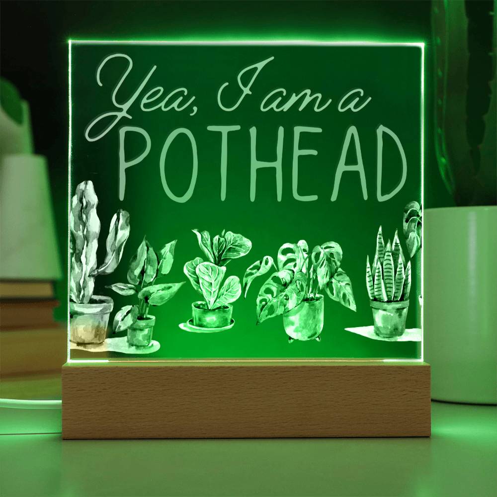 I Am A Pot Head - Funny Plant Acrylic with LED Nigh Light - Indoor Home Garden Decor - Birthday or Christmas Gift For Horticulturists, Gardner, or Plant Lover