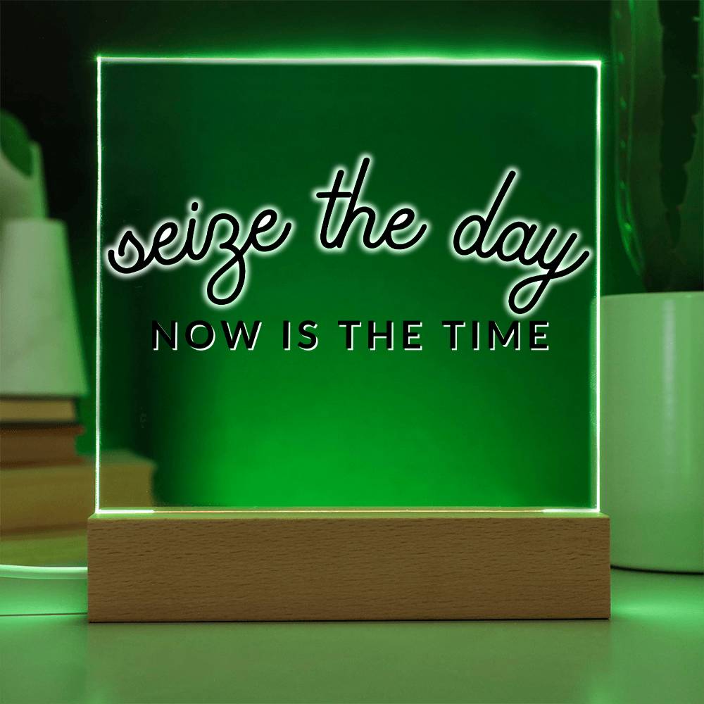 Seize The Day - Motivational Acrylic with LED Nigh Light - Inspirational New Home Decor - Encouragement, Birthday or Christmas Gift