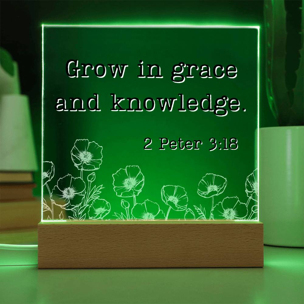 LED Bible Verse - Grace & Knowledge - 2 Peter 3:18 - Motivational Acrylic with LED Nigh Light - Inspirational New Home Decor - Encouragement, Birthday or Christmas Gift