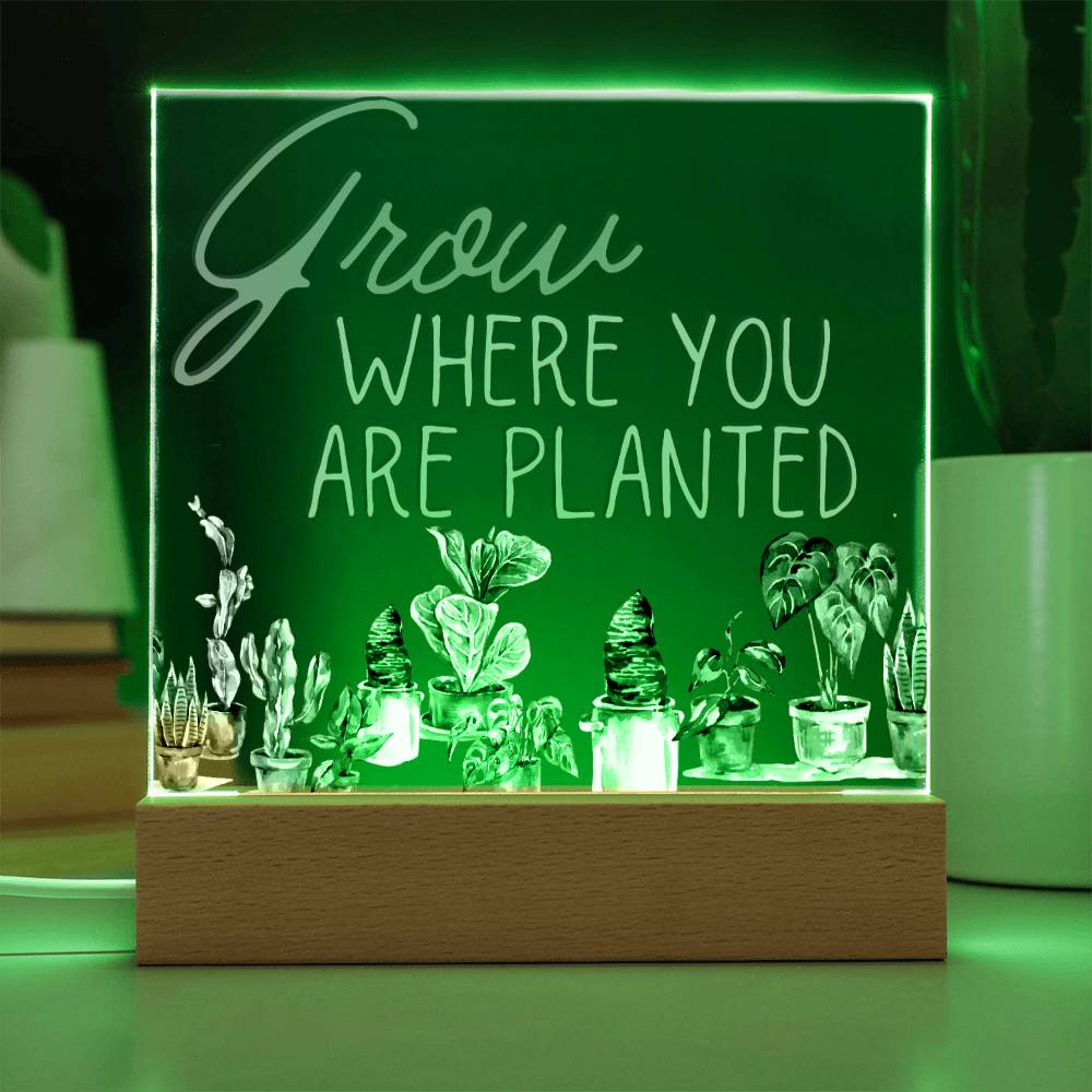 Grow Where You Are Planted - Funny Plant Acrylic with LED Nigh Light - Indoor Home Garden Decor - Birthday or Christmas Gift For Horticulturists, Gardner, or Plant Lover