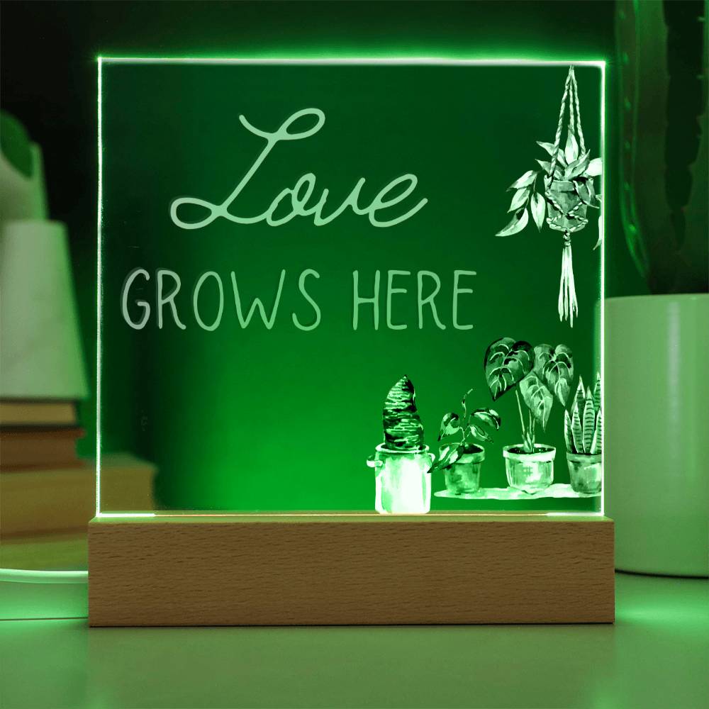 Love Grows Here - Funny Plant Acrylic with LED Nigh Light - Indoor Home Garden Decor - Birthday or Christmas Gift For Horticulturists, Gardner, or Plant Lover