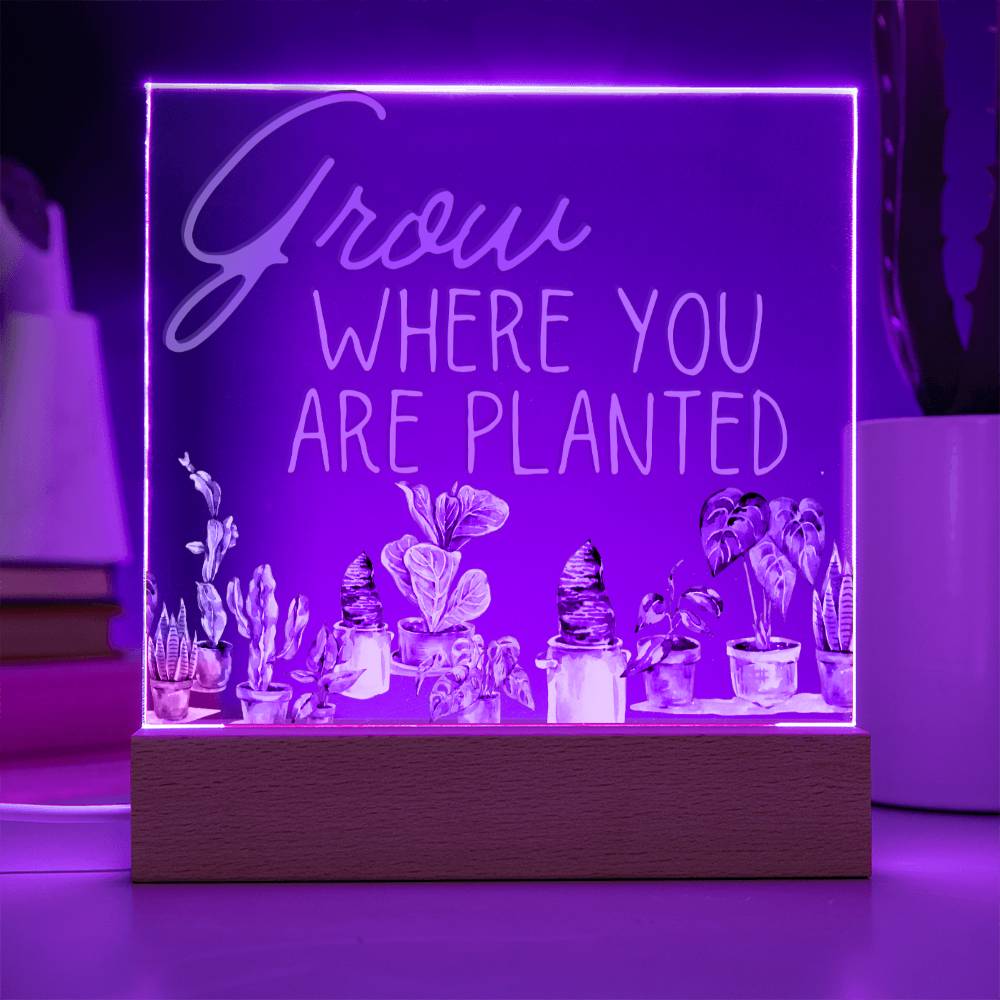 Grow Where You Are Planted - Funny Plant Acrylic with LED Nigh Light - Indoor Home Garden Decor - Birthday or Christmas Gift For Horticulturists, Gardner, or Plant Lover