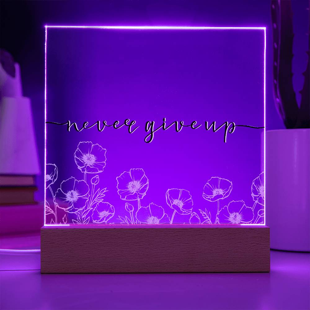 Never Give Up - Motivational Acrylic with LED Nigh Light - Inspirational New Home Decor - Encouragement, Birthday or Christmas Gift